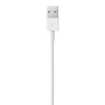 Apple 1Meter Lightning Connector to USB Cable - MD818ZMA