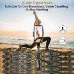 WeCool G1 selfie stick with tripod stand with Gimbal