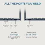 ASUS ZenBook 14 Thin and Light Laptop