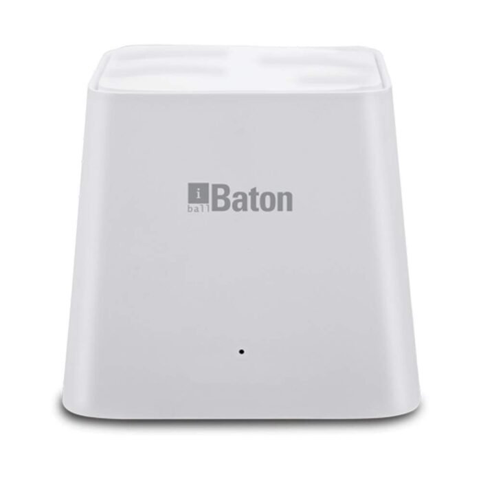 iBall WebWork 1200M Smart AC Whole Home Wi-Fi Mesh Router