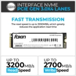 Foxin 256GB Upto 3200MB/s W, 2700MB/s R Speed, PCIE 3.0 M.2 NVME Internal SSD 3 Foxin 256GB PCIE 3.0 M.2 NVME Internal SSD