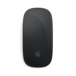 Apple Magic Mouse - Black Multi-Touch Surface ​​​​​​​ - USB-C